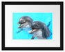 Delfinpaar Passepartout 38x30