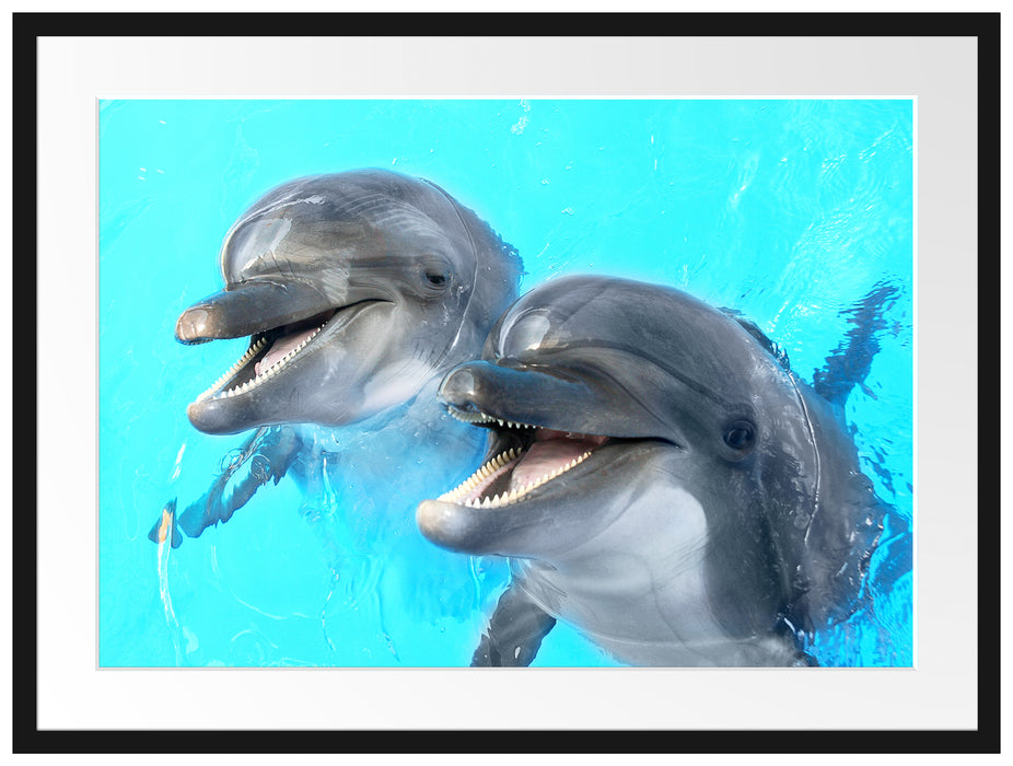 Delfinpaar Passepartout 80x60
