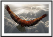 Adler über den Wolken Passepartout 100x70