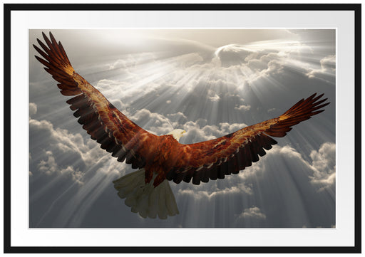 Adler über den Wolken Passepartout 100x70