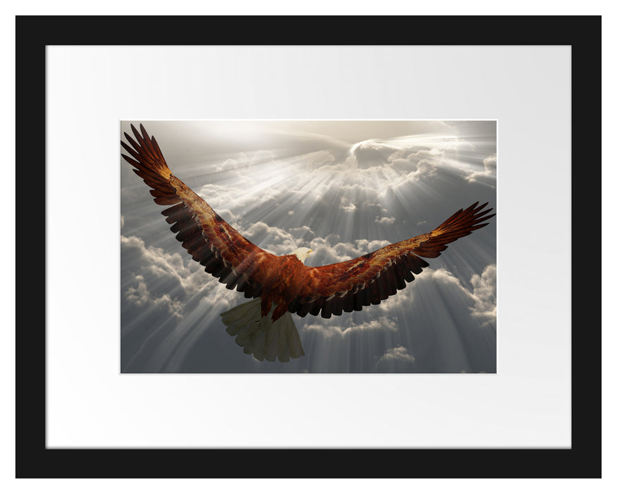 Adler über den Wolken Passepartout 38x30