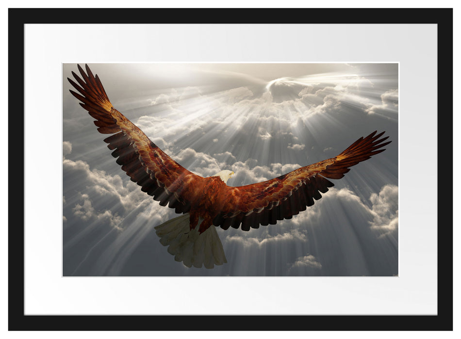 Adler über den Wolken Passepartout 55x40
