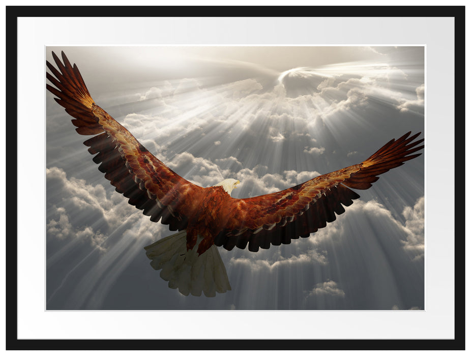 Adler über den Wolken Passepartout 80x60