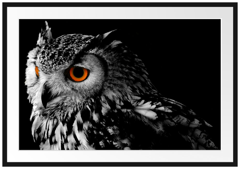 Pixxprint Dark Eule mit orangen Augen, im Galerie-Passepartout Bilderrahmen