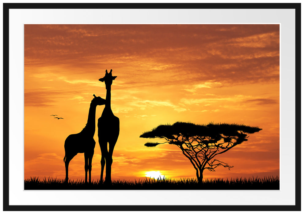 Pixxprint Giraffen im Sonnenuntergang, im Galerie-Passepartout Bilderrahmen