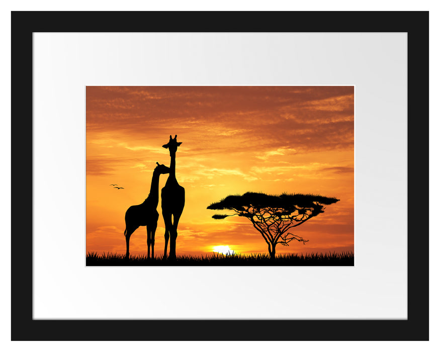 Giraffen im Sonnenuntergang Passepartout 38x30