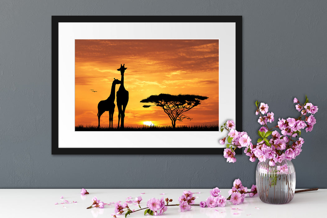 Giraffen im Sonnenuntergang Passepartout Wohnzimmer