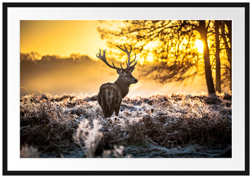 Hirsch im Wald Passepartout 100x70