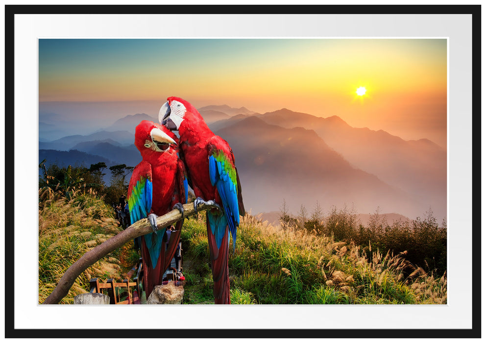 Pixxprint Papageien Pärchen, im Galerie-Passepartout Bilderrahmen