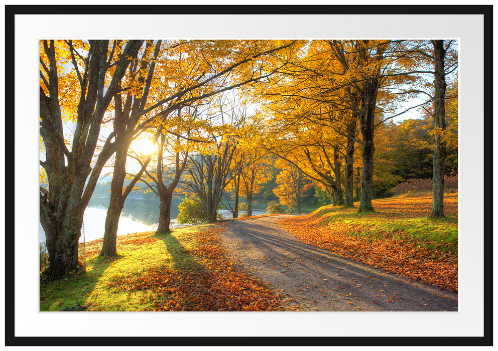 Pixxprint Sonniger Park am See, im Galerie-Passepartout Bilderrahmen