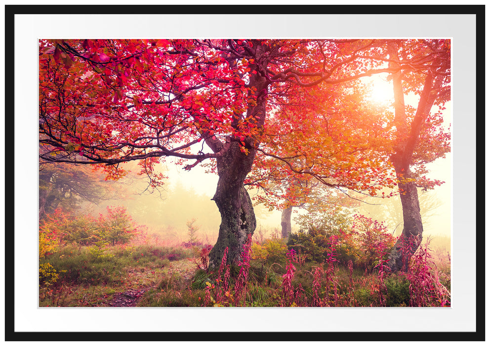 Pixxprint Traumhafte Herbstlandschaft, im Galerie-Passepartout Bilderrahmen