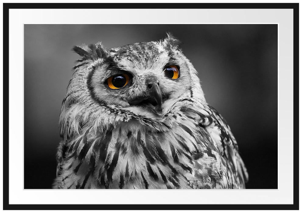 Pixxprint wunderschöne Waldeule, im Galerie-Passepartout Bilderrahmen