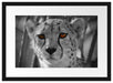 Gepard im Dschungel Passepartout 55x40