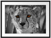 Gepard im Dschungel Passepartout 80x60