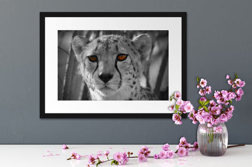 Gepard im Dschungel Passepartout Wohnzimmer