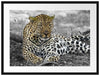 schöner Leopard liegt im Laub Passepartout 80x60
