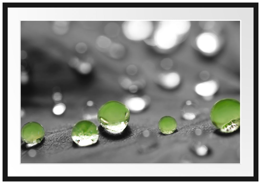 Pixxprint Wassertropfen auf Blatt, im Galerie-Passepartout Bilderrahmen