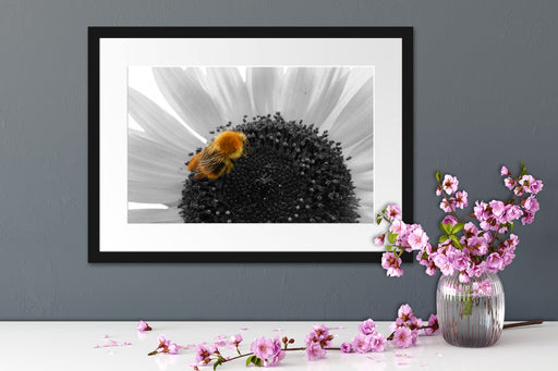 süße Biene auf großer Sonnenblume Passepartout Wohnzimmer