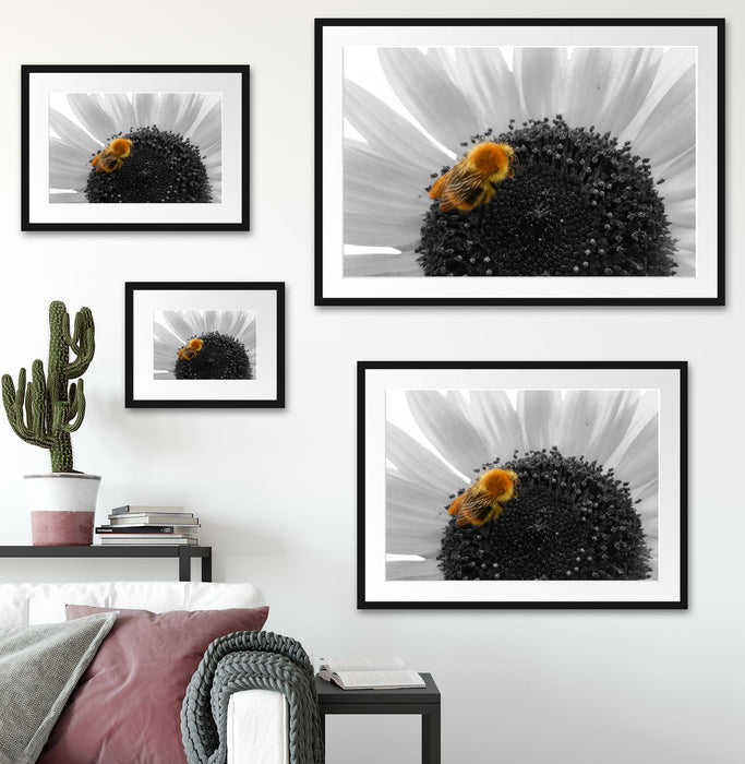 süße Biene auf großer Sonnenblume Passepartout Dekovorschlag