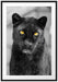 prächtiger Panther Passepartout 100x70