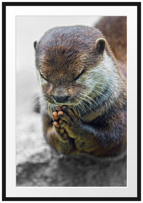 Pixxprint anmutiger kleiner Zwergotter, im Galerie-Passepartout Bilderrahmen