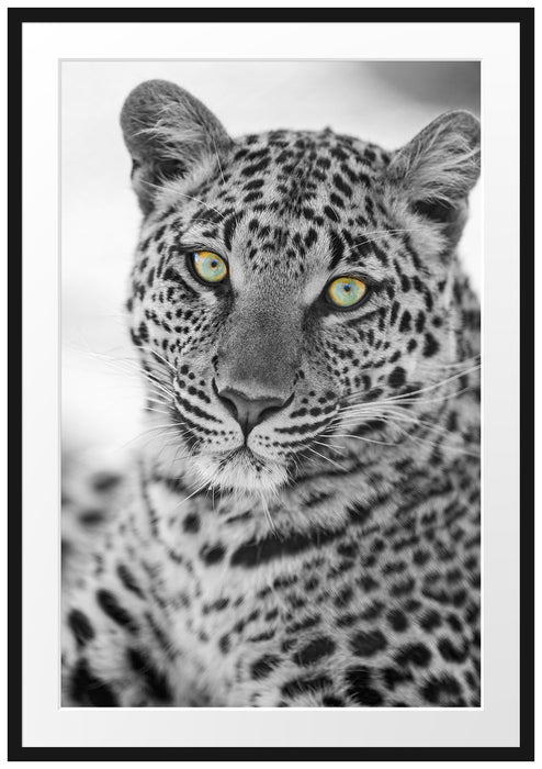 Pixxprint wunderschöner Leopard, im Galerie-Passepartout Bilderrahmen