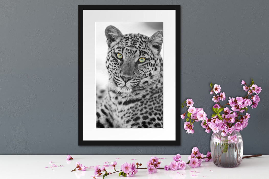 wunderschöner Leopard Passepartout Wohnzimmer