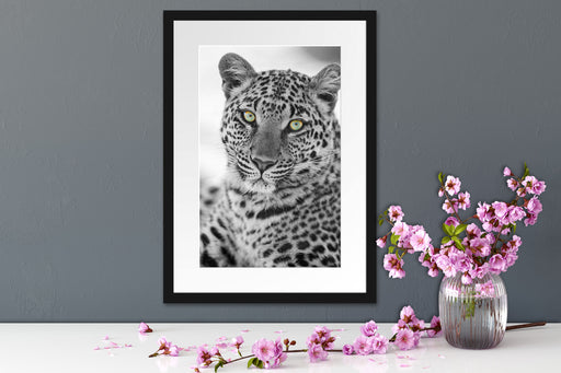 wunderschöner Leopard Passepartout Wohnzimmer