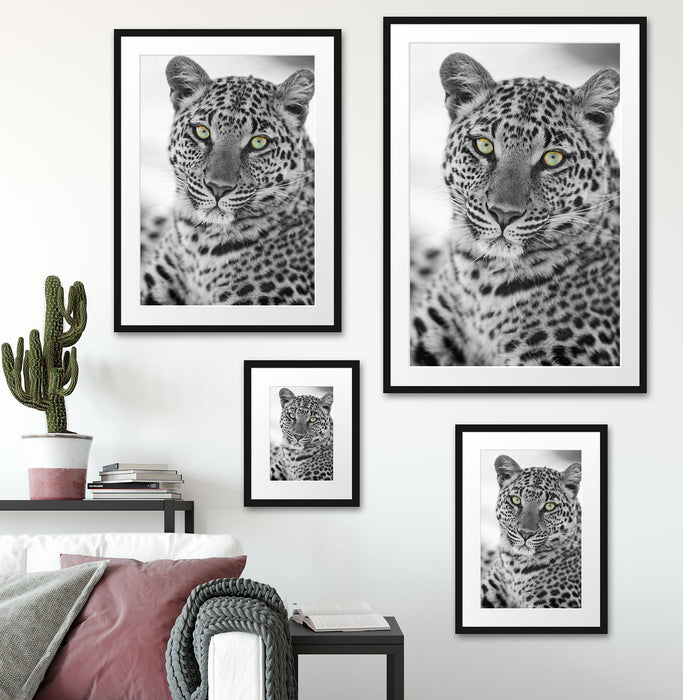 wunderschöner Leopard Passepartout Dekovorschlag