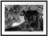schöner schwarzer Panther Passepartout 80x60