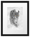 wunderschöner Luchs im Schnee Passepartout 38x30