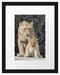 schöne Löwin mit süßem Jungtier Passepartout 38x30