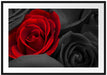 romantische rote Rosen Passepartout 100x70