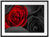 romantische rote Rosen Passepartout 80x60