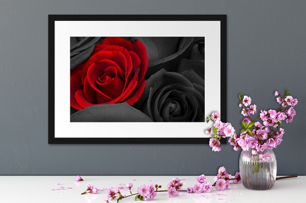 romantische rote Rosen Passepartout Wohnzimmer
