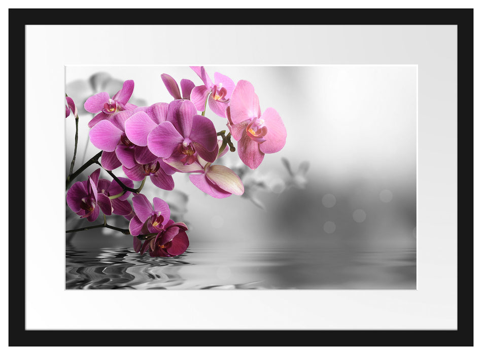 Orchideenblüten über Wasser Passepartout 55x40
