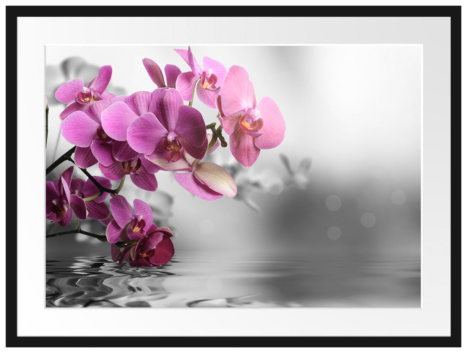 Orchideenblüten über Wasser Passepartout 80x60