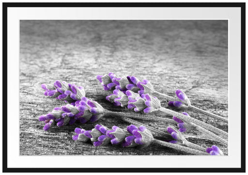 liegender Lavendel auf Stamm Passepartout 100x70