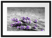 liegender Lavendel auf Stamm Passepartout 55x40
