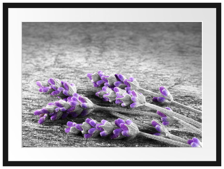 liegender Lavendel auf Stamm Passepartout 80x60