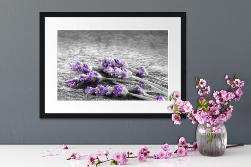 liegender Lavendel auf Stamm Passepartout Wohnzimmer