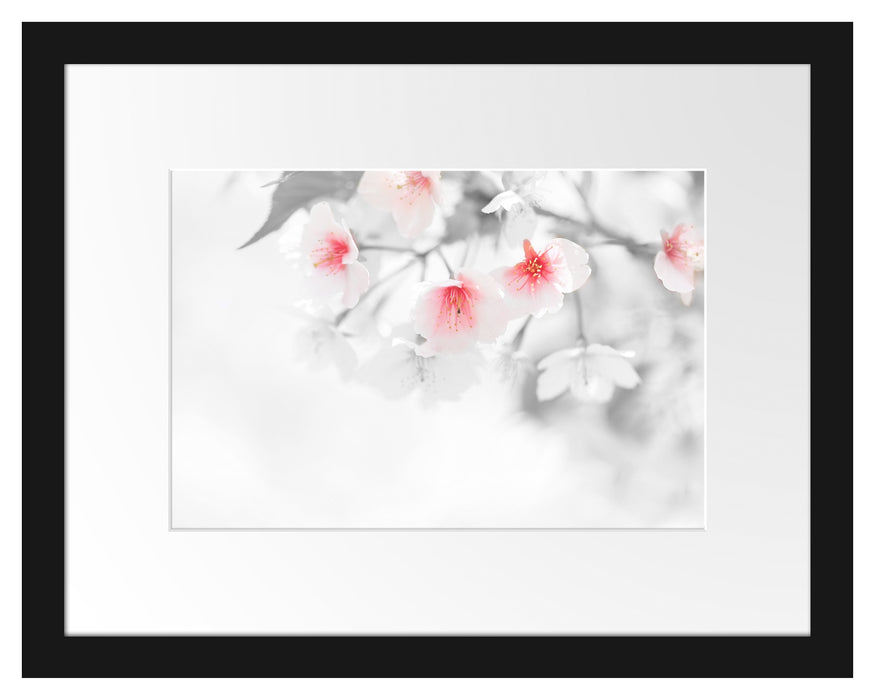 wunderschöne Kirschblüten Passepartout 38x30