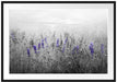 wunderschönes Lavendelfeld Passepartout 100x70