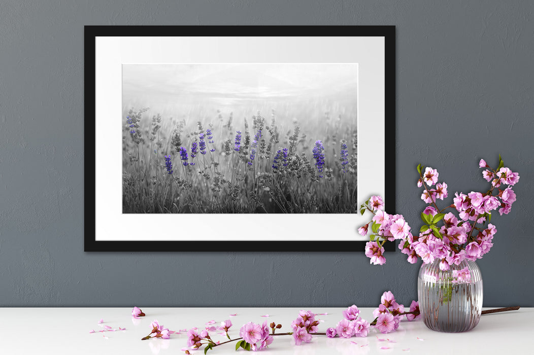wunderschönes Lavendelfeld Passepartout Wohnzimmer