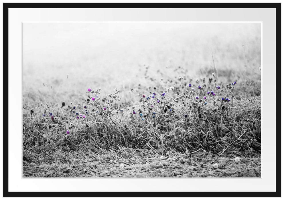 Pixxprint Distel Feld im Retro Look, im Galerie-Passepartout Bilderrahmen