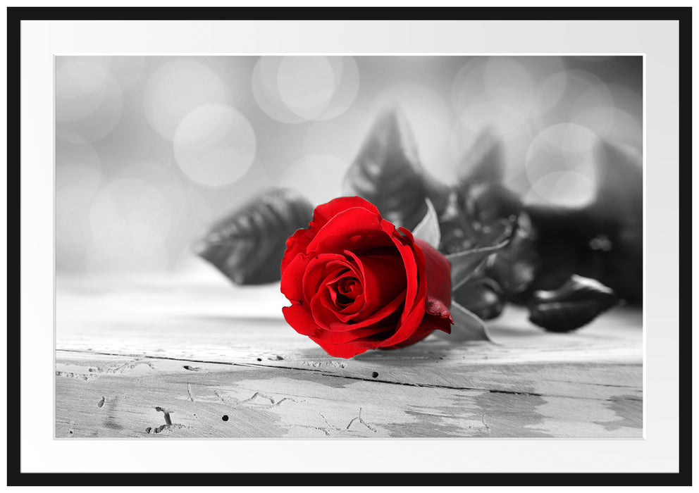 Pixxprint Rose auf Holztisch, im Galerie-Passepartout Bilderrahmen