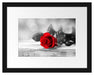 Rose auf Holztisch Passepartout 38x30