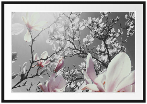 schöne Magnolie Blüten Passepartout 100x70