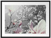 schöne Magnolie Blüten Passepartout 80x60