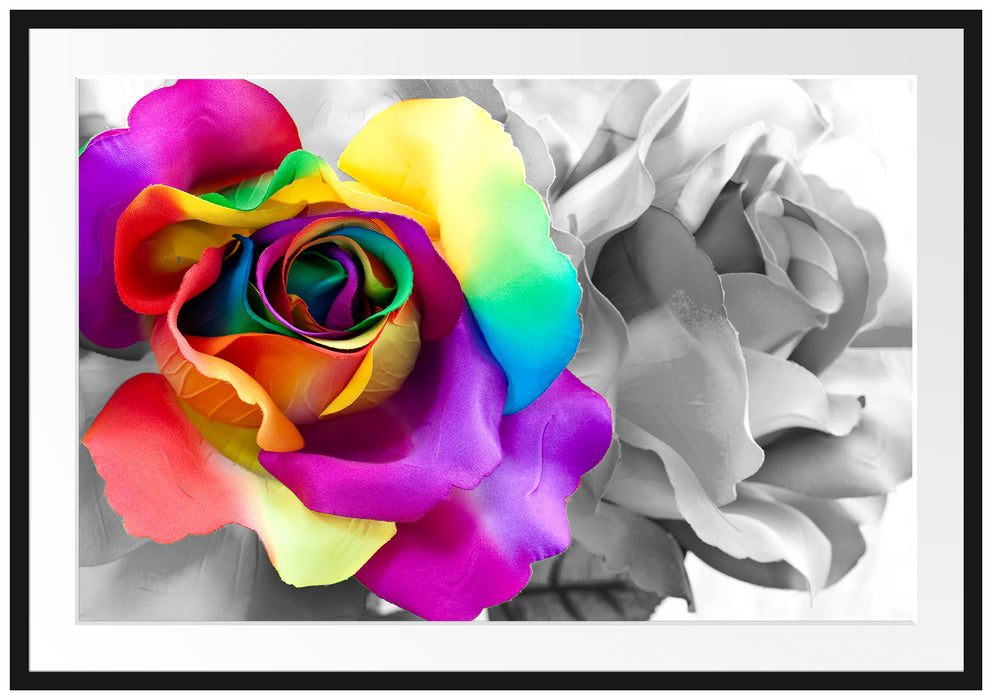 Pixxprint Kunterbunte Rosenblätter, im Galerie-Passepartout Bilderrahmen